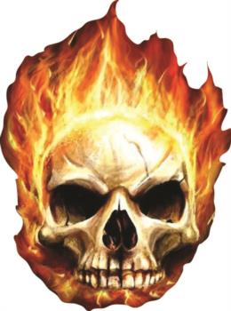 Skull Flame rc digital decal